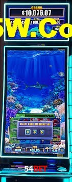 Bonus Features 54bet